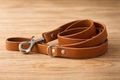 Modern Earth-Tone Leather Lead