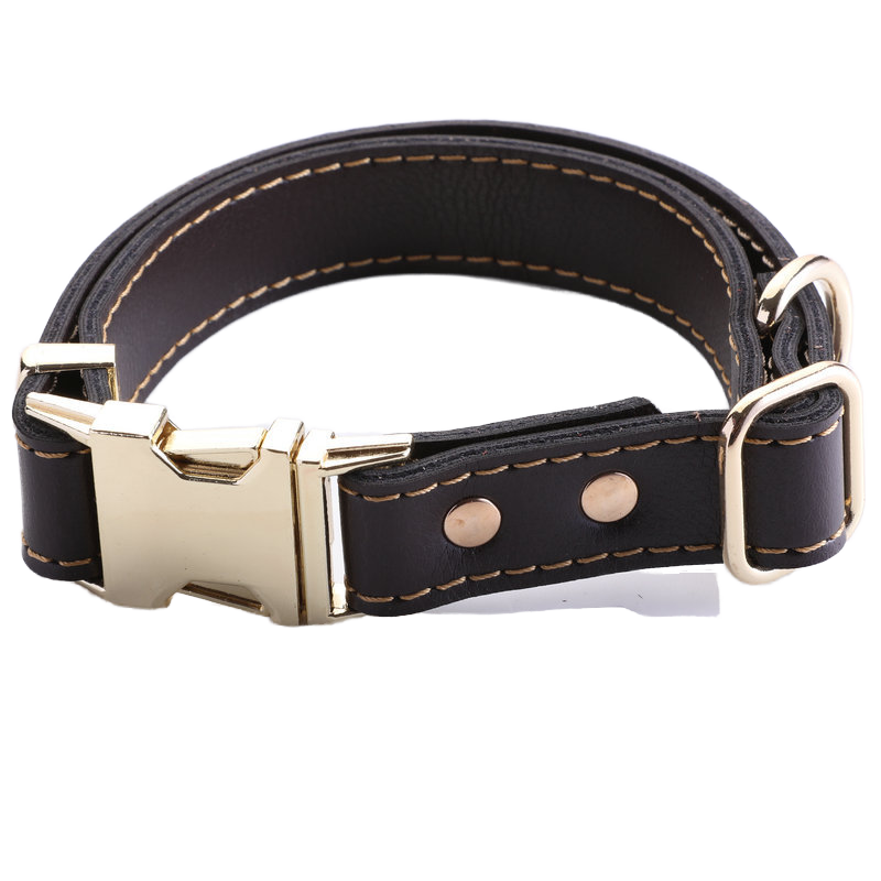 Celtic Sport Chocolate Leather Dog Collar