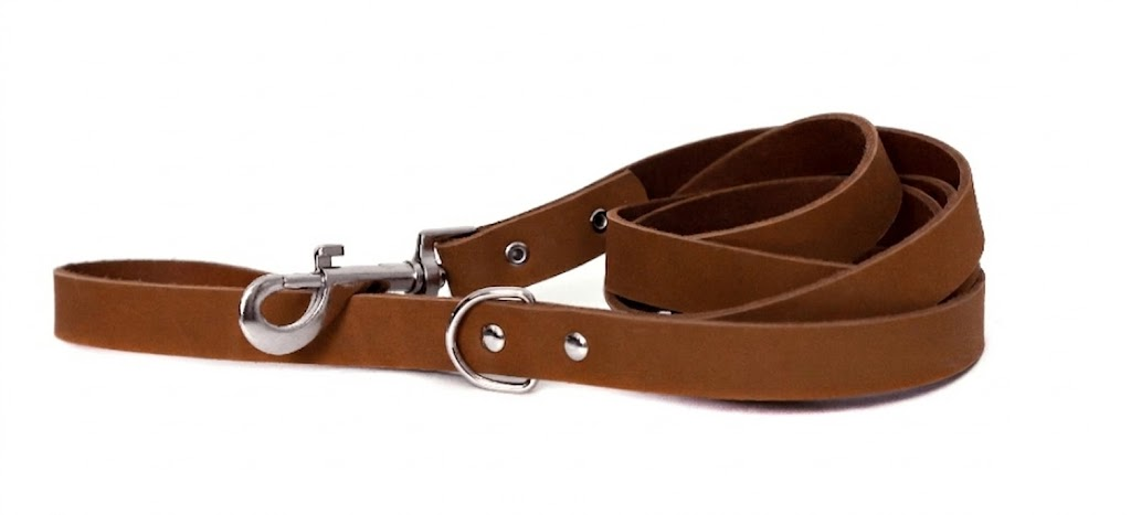 Modern Style Earth Brown Leather Leash