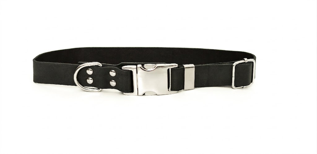 Modern Style Quick-Release Midnight Black Leather Dog Collar